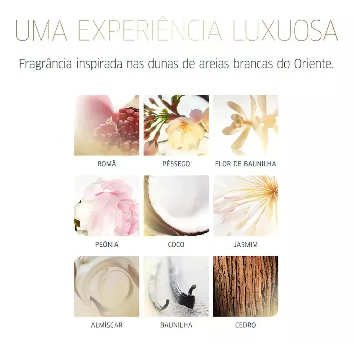 Wella Shampoo Oil Reflections 1000ml
