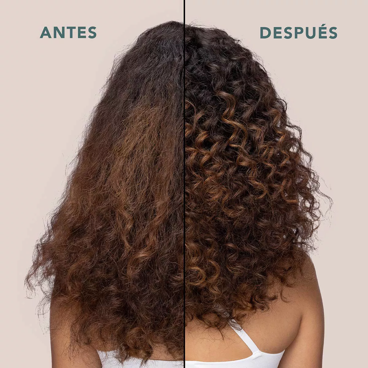 Sebastian Acondicionador Twisted Curl 250ml 
