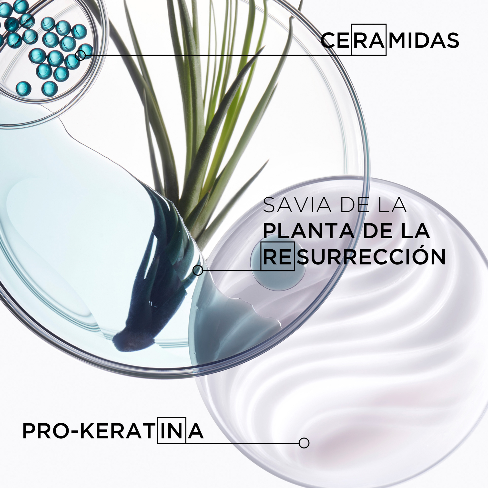 Shampoo Kérastase Cabello Debilitado Bain Force Architecte Resistance 250 ml