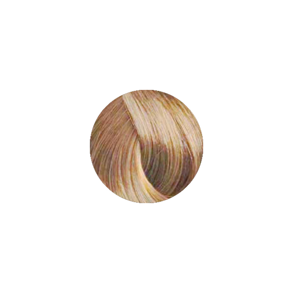 Farmavita Tinte B.Life Color 9.3 - 100ml