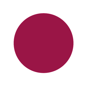 Zita Ultra Gel 15ml N11 Shes Not Just A Pr