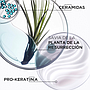 Shampoo Kérastase Cabello Debilitado Bain Force Architecte Resistance 250 ml
